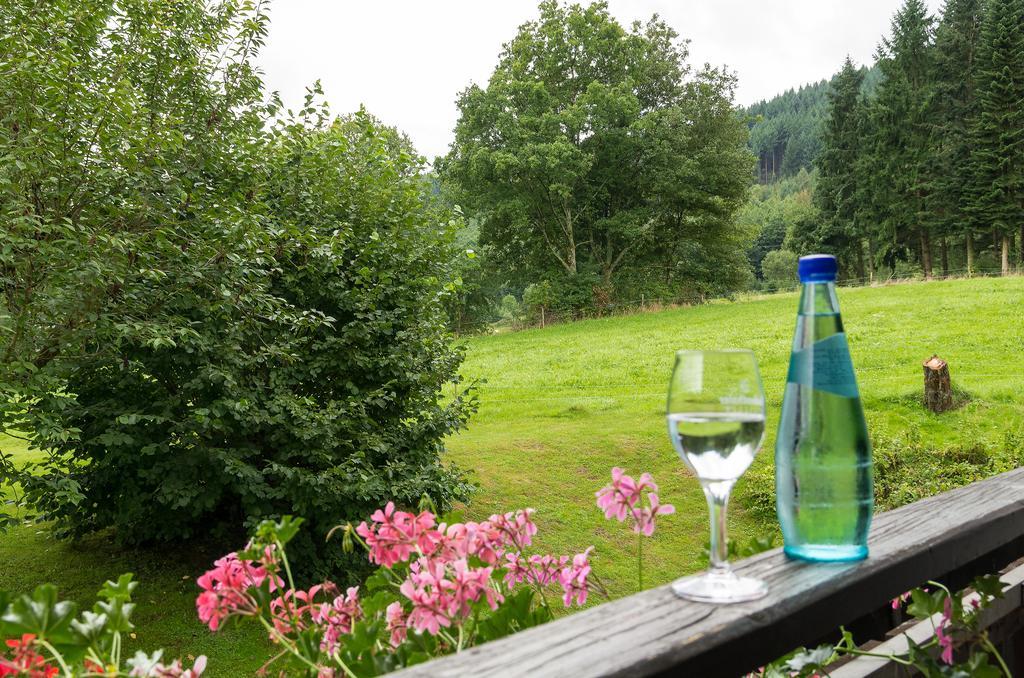 Gasthof & Landhotel Ohrnbachtal Weilbach Exteriér fotografie
