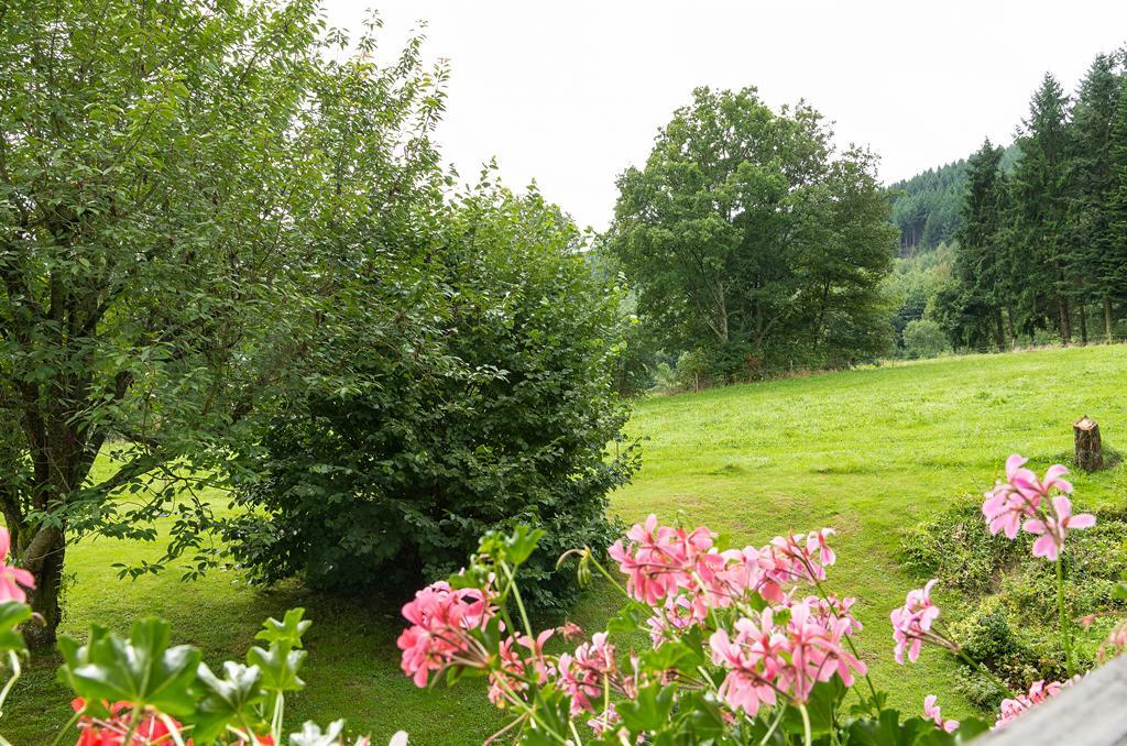 Gasthof & Landhotel Ohrnbachtal Weilbach Exteriér fotografie