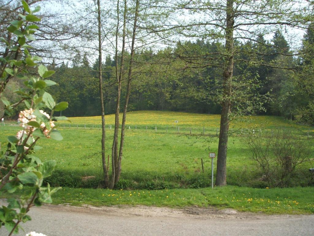 Gasthof & Landhotel Ohrnbachtal Weilbach Exteriér fotografie