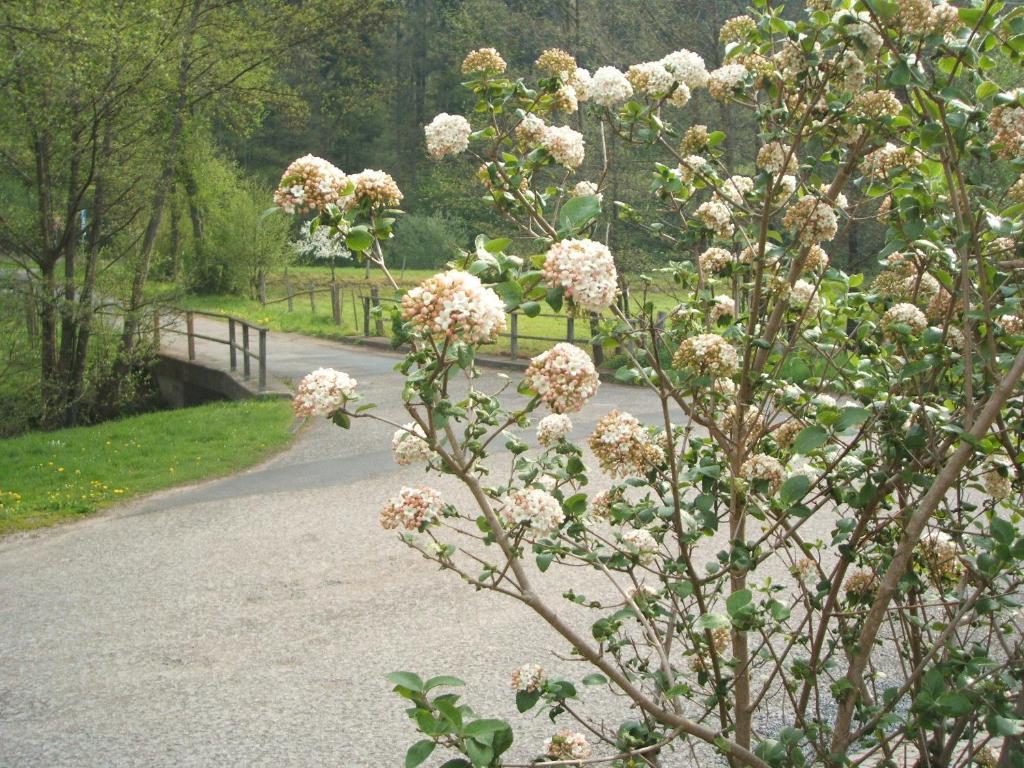 Gasthof & Landhotel Ohrnbachtal Weilbach Exteriér fotografie